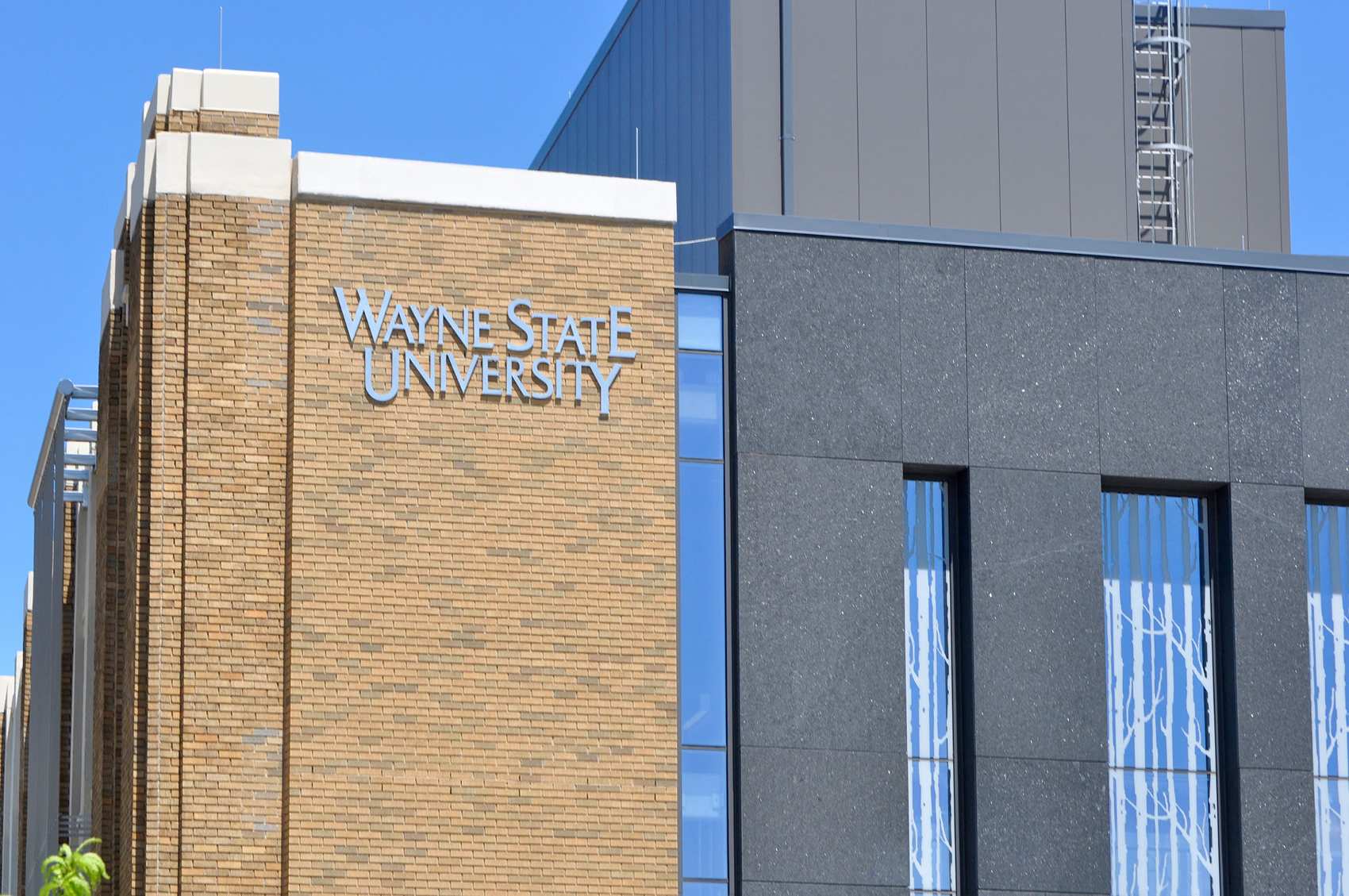 Wayne-State-Biomedical3